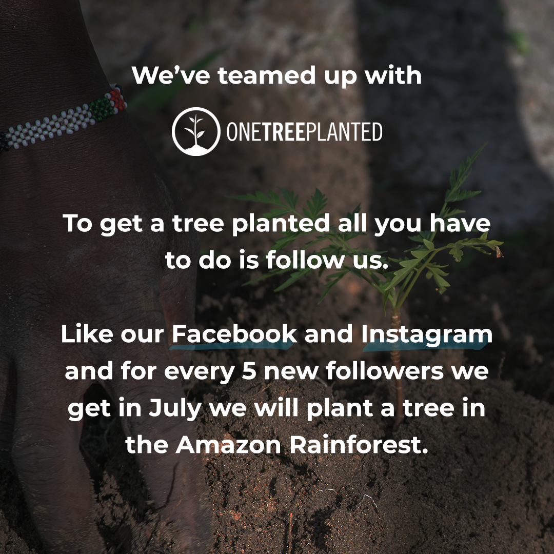 athena media Partnered With One Tree Planted Foundation