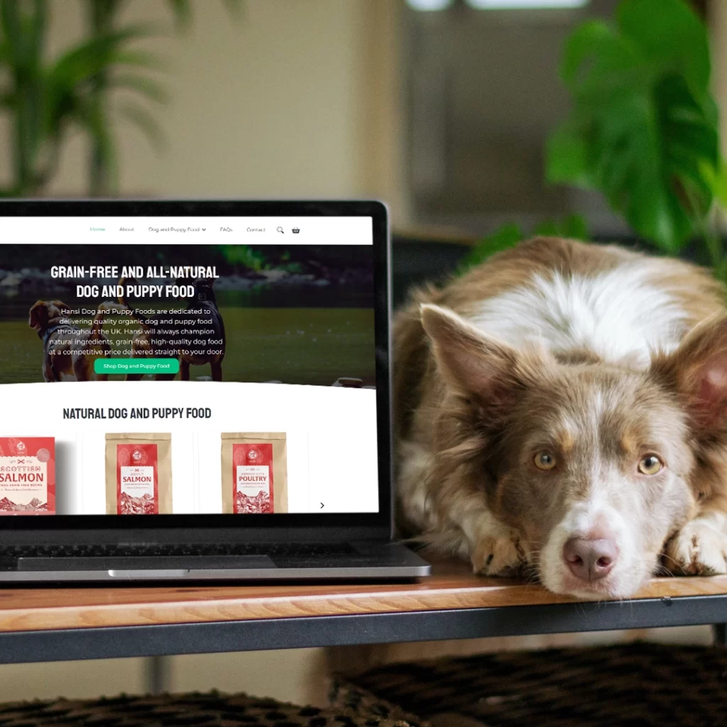 Hansi-Dog-Food-Website-Design-Mockup-Laptop