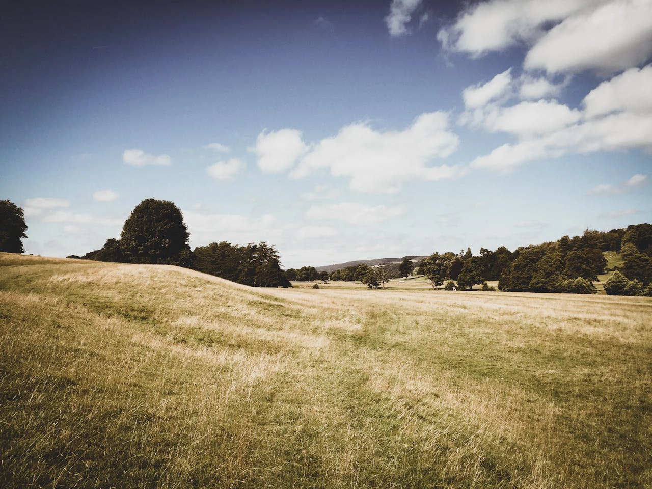 Photo of a Field in Huddersfield