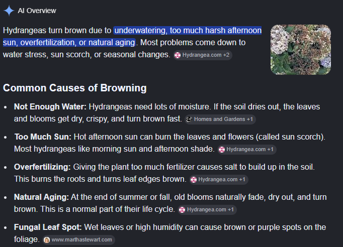 Screenshot of Example AI Overview